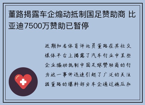 董路揭露车企煽动抵制国足赞助商 比亚迪7500万赞助已暂停